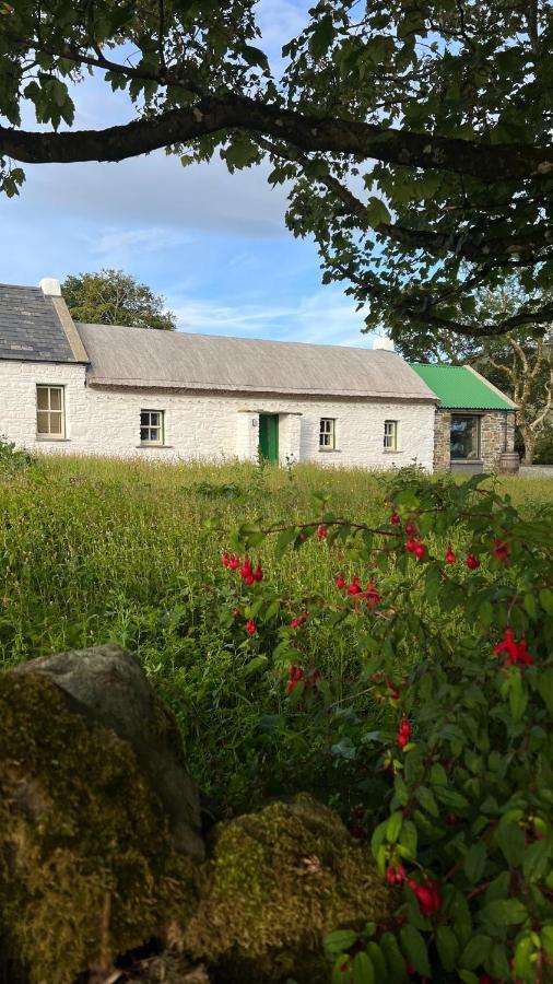Rashenny Secluded Thatched Cottage, Near Beaches & Hill Walking מראה חיצוני תמונה